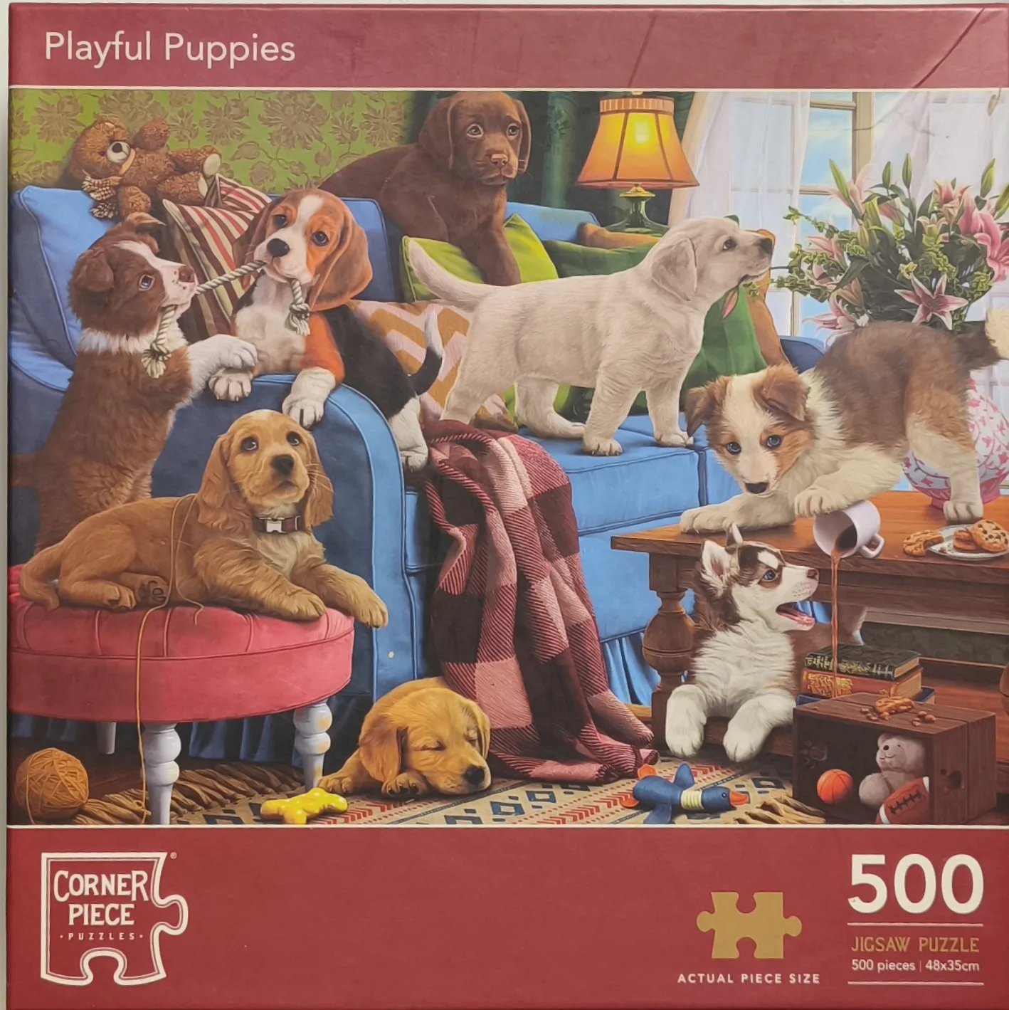 Playful Puppies — 1