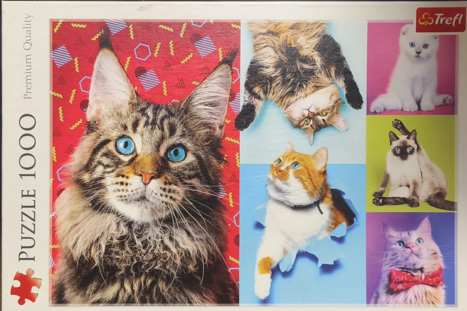 Happy cats — 1