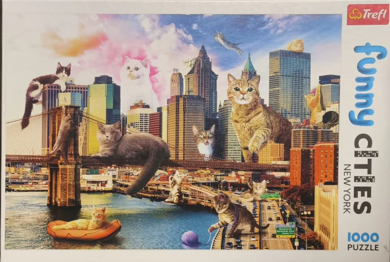 Funny cities New York