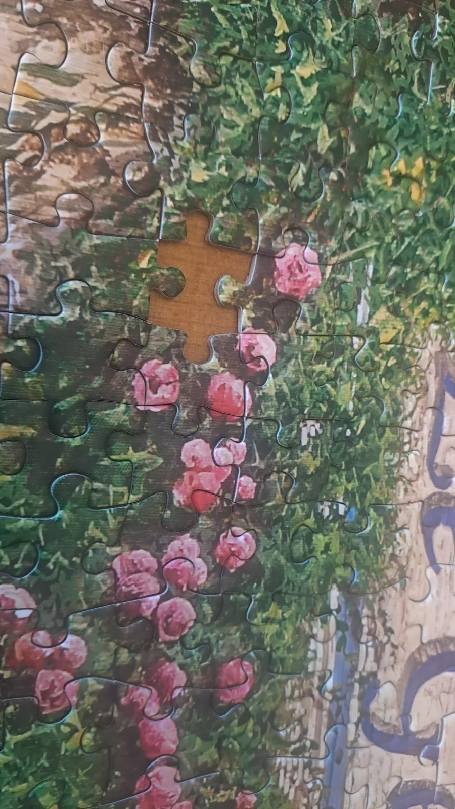 Cherry Pazzi 1000 — 3