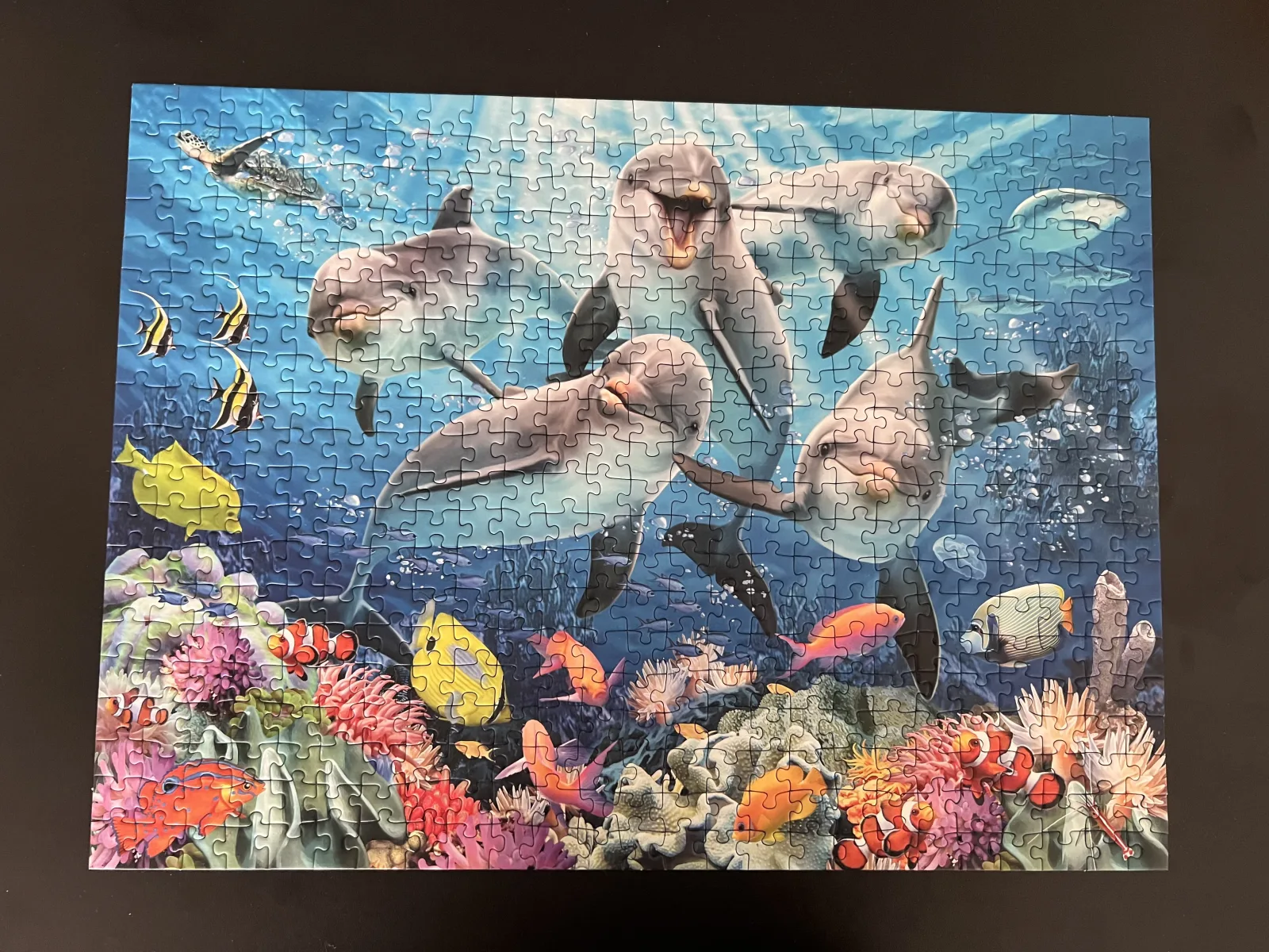 Ravensburger 500 “Dolphins in the coral reef” — 2