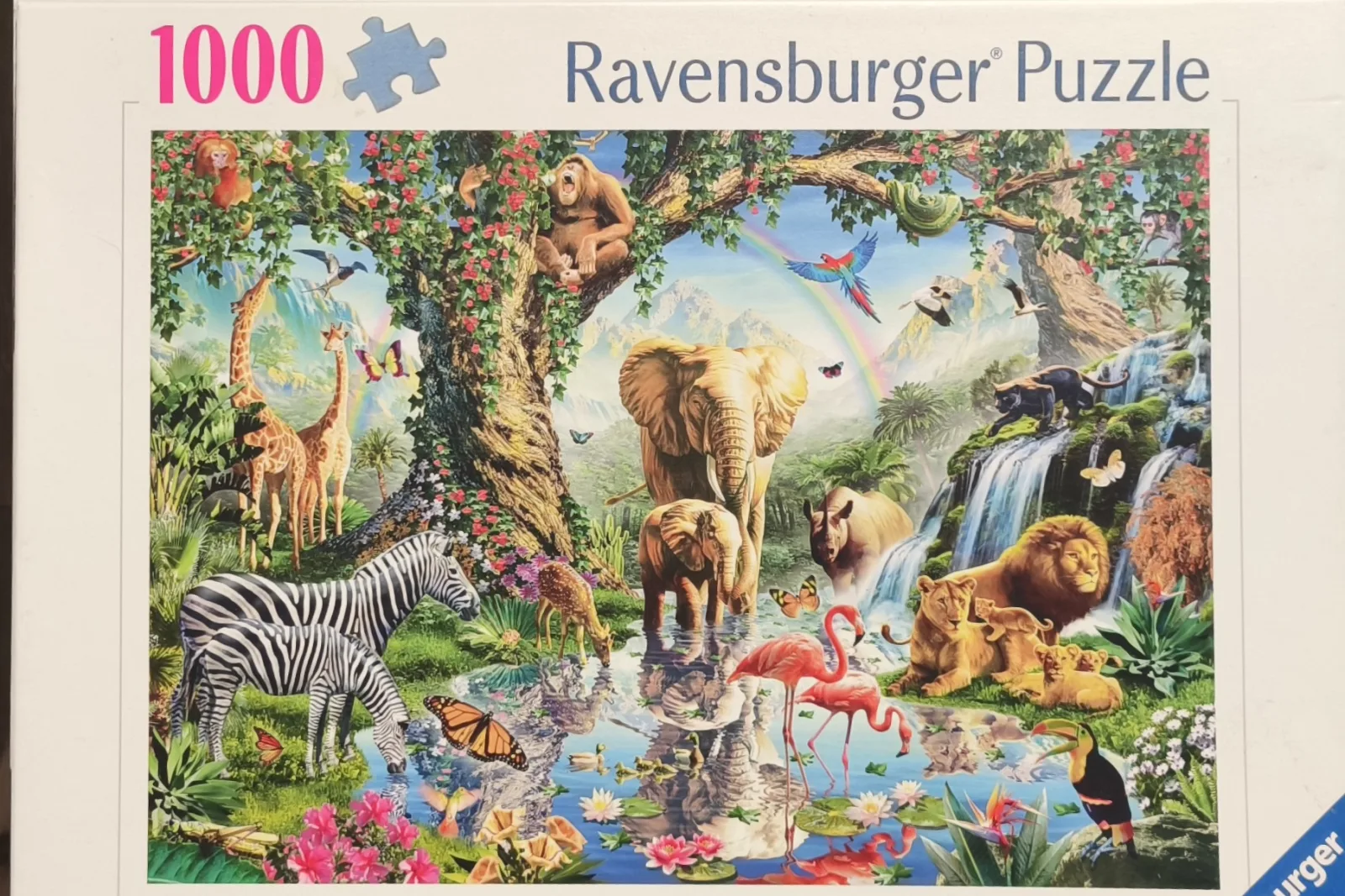 Adventures in the Jungle — 1