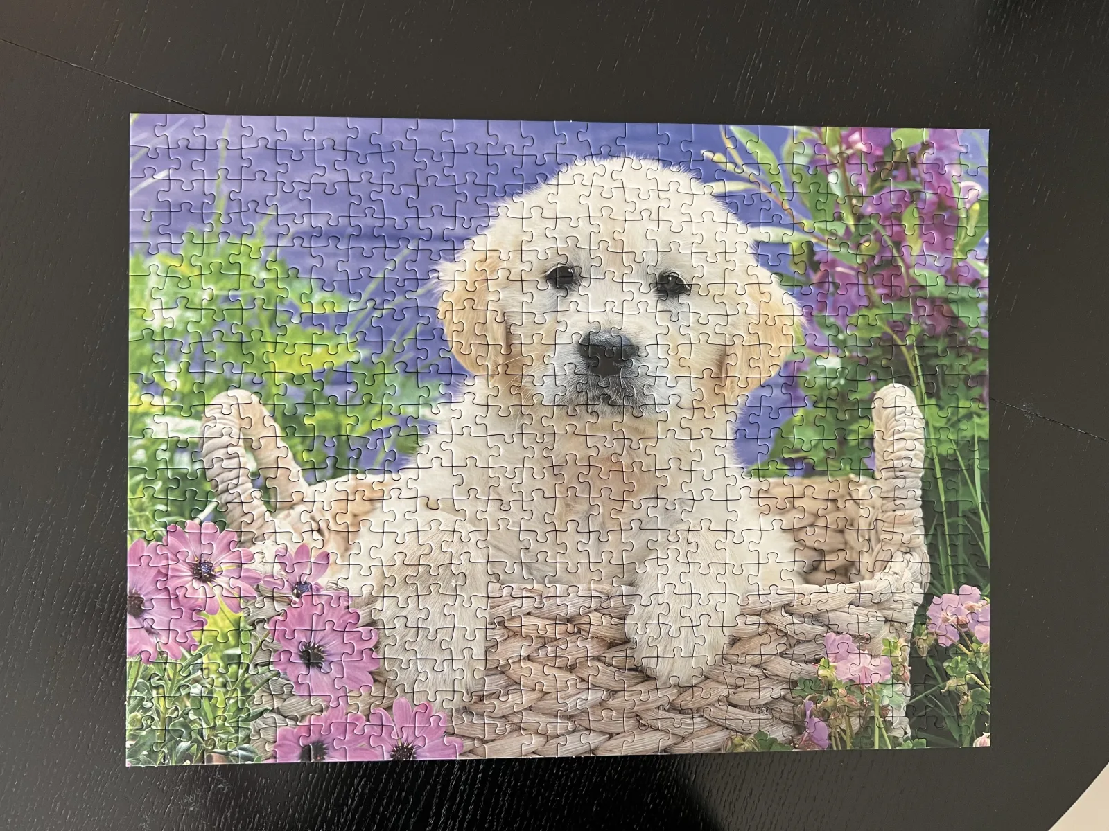 Ravensburger 500 “Sweet Golden Retriever” — 2